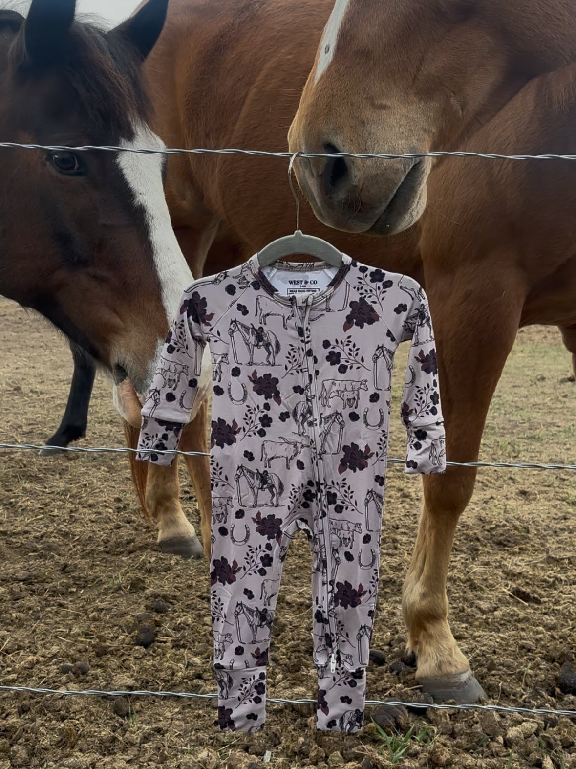 Bamboo Sets - Western Collection